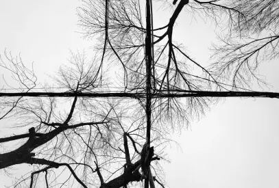 Billion Casino Mobiilirakendus